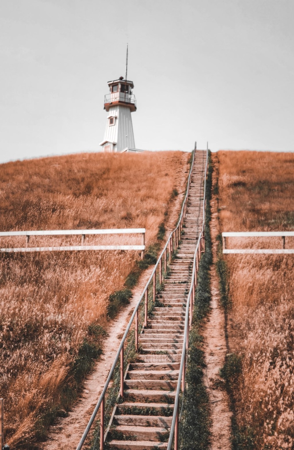 Purify My Intentions